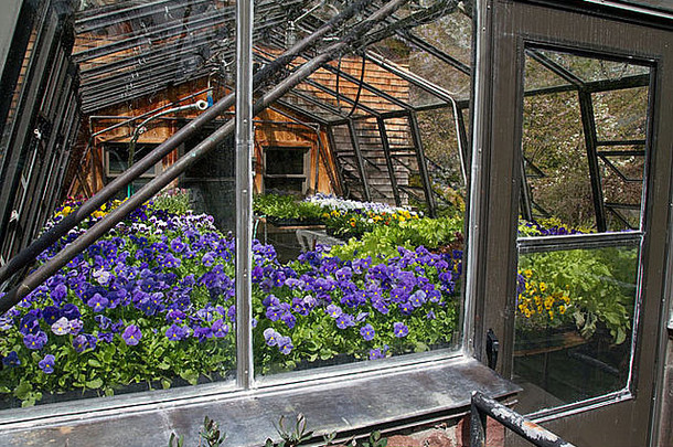 <strong>花园</strong>温室植物石头铝玻璃窗户通风口