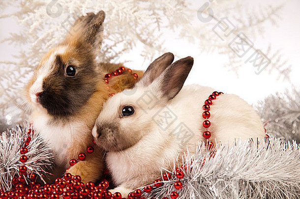 圣诞装饰兔
