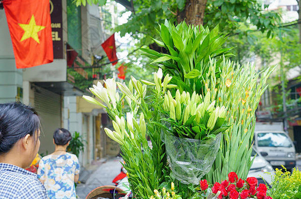花市场自行车路当地的市场河内越南沃夫世界由礼来公司白色玫瑰斯派克花金盏花