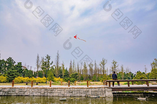 中国人男人。飞行风筝公园上海多云的一天