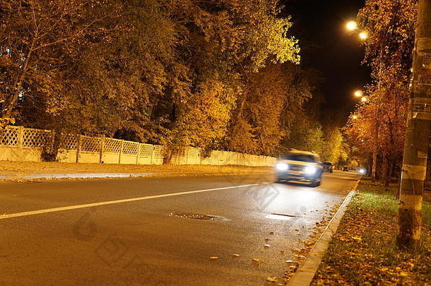 夜间交通城市交通模糊灯前照灯道路树木秋季灯扇形灯照明汽车树叶灌木眩光背景