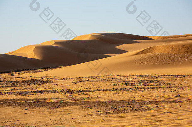 美丽的轮廓脊沙子沙丘抓住了晚上阳光对比光黄色的沙漠沙子长黑暗阴影苏丹