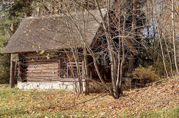 秋天，在风景如画的森林的边缘，古老的荒芜、荒凉的木制古董房子。孤独的生活方式、季节