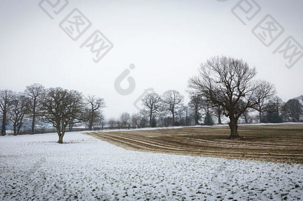 英国约克郡，一块被分开的田地，积雪覆盖着泥土