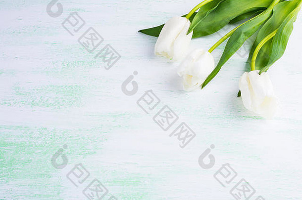 白色郁金香贺卡。花架。花背景。花束。贺卡。母亲节。花。花型