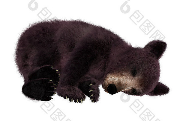 数字渲染黑色的熊幼崽孤立的白色背景
