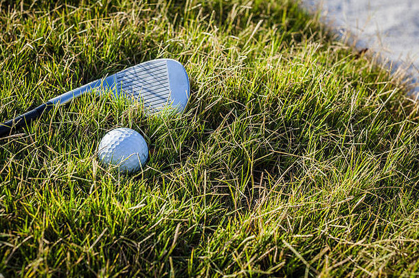 草丛中的高尔夫球，旁边有一个楔形高尔夫球杆