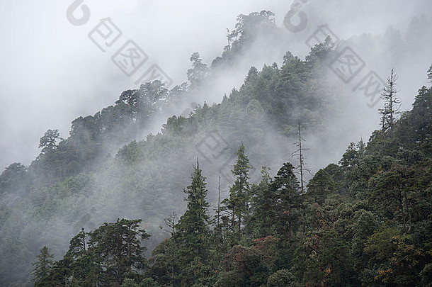 雾森林trongsa区不丹