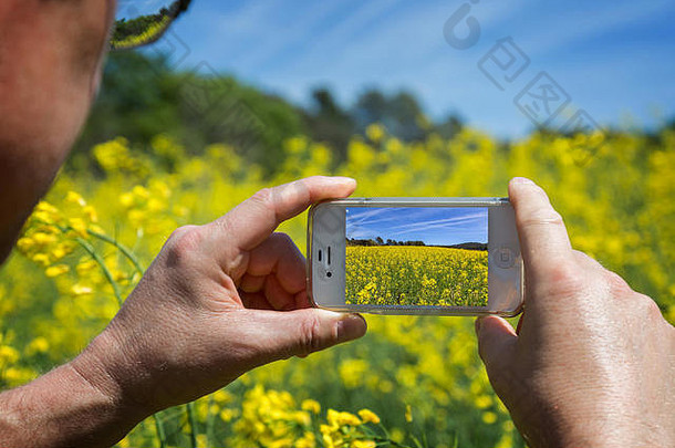用手机在盛开的油菜田拍摄一张照片，上面是蓝色多云的天空