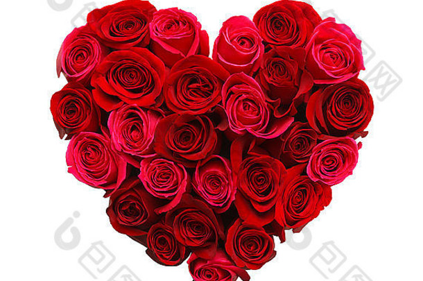 情人节用白色背景上隔离的红玫瑰做成的心。
