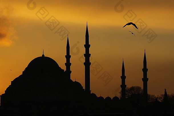 苏莱曼尼耶清真寺伊斯坦布尔火鸡