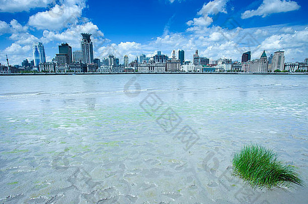 绿色草日益增长的黄埔河相反上海履行。