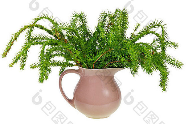 简单的圣诞枞树枝不是装饰在质朴的陶瓷壶里孤立的