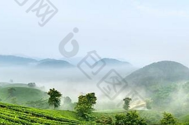 视图全景长coc茶山府Tho省越南早期多雾的早....长coc被认为是嘶哑茶山