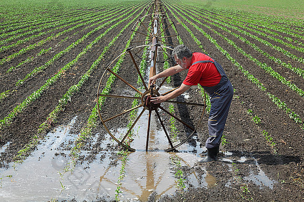 农业农民红辣椒场修复灌溉系统