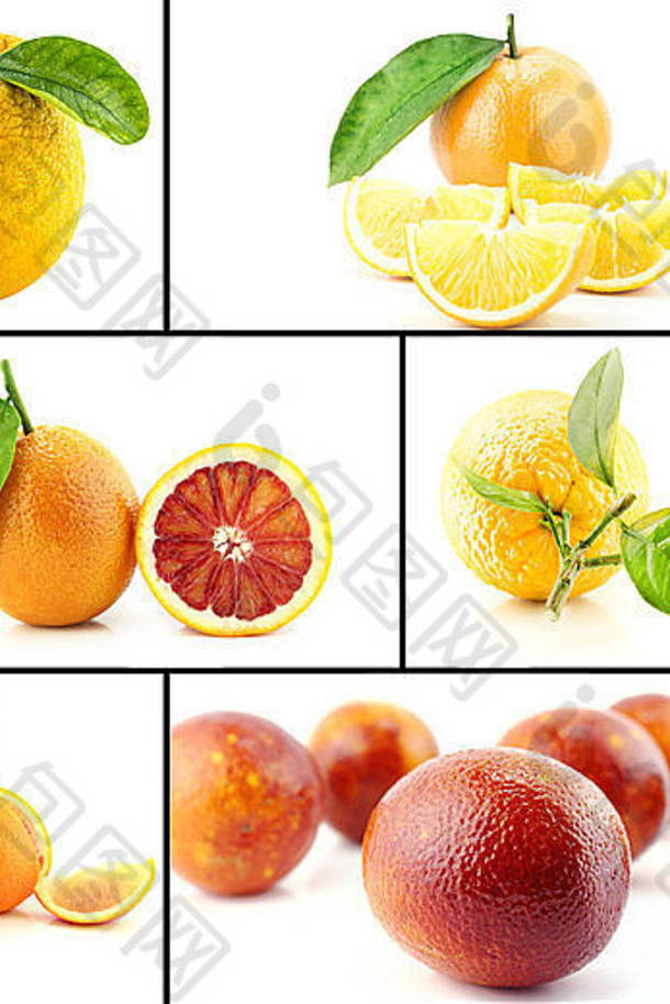 健康的有机食物集新鲜的橙色