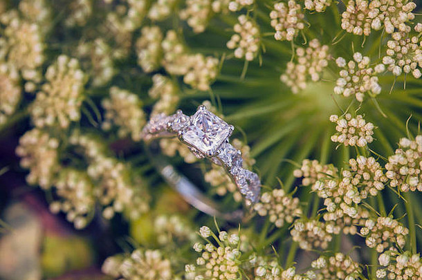 天然浪漫背景的Diamon结婚订婚戒指