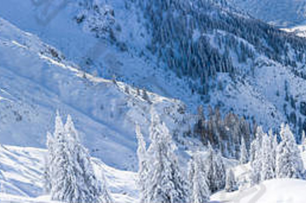 在奥地利蒂罗尔州的西菲尔德（Seefeld）可以看到覆盖着白雪的树木和阿尔卑斯山的冬季景色。奥地利的冬天