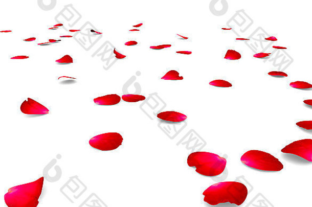 花瓣玫瑰地板上孤立的背景