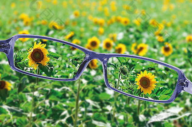 视图阅读眼镜美丽的自然视图健康的视力概念