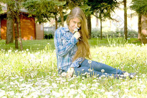 年轻的美丽的女孩欧洲十六岁年长棕色（的）头发坐在草地雏菊白色蒲公英