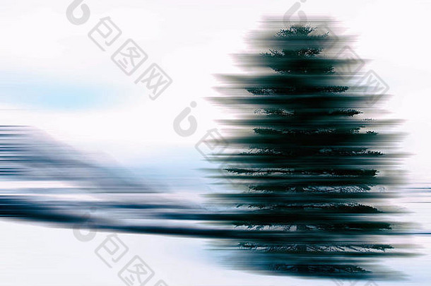 孤独的松树在冰冷的风景中失去了焦点