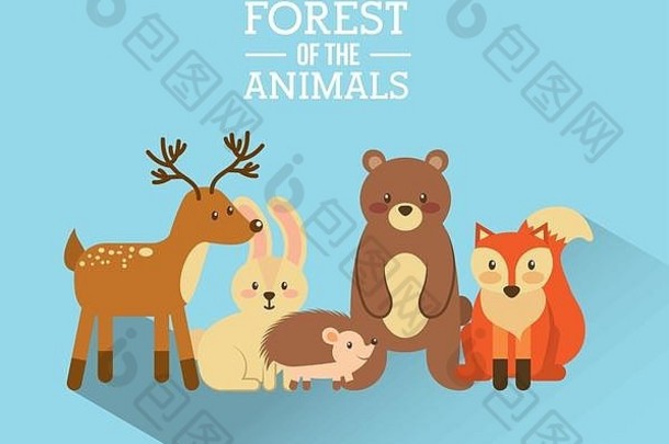 森林和野生动物
