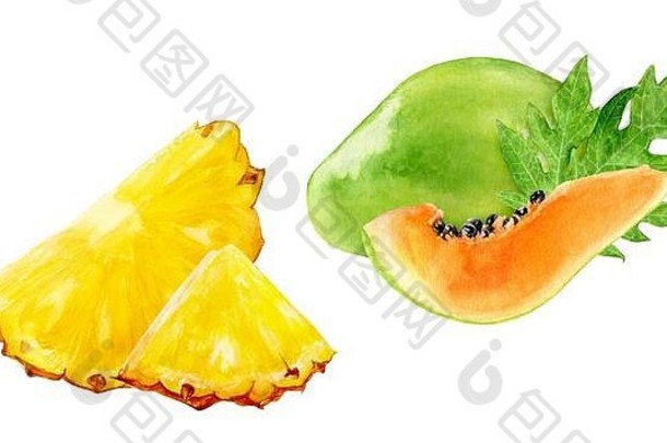 木瓜<strong>菠萝水彩</strong>插图，白色背景