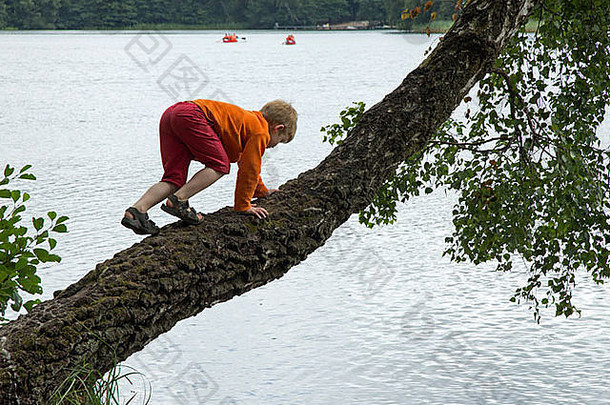 小男孩爬在湖面上的一棵树上