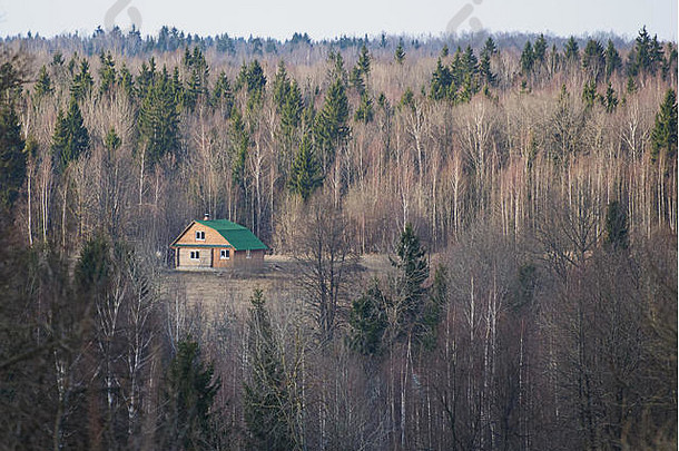 森林深处有绿色屋顶的房子