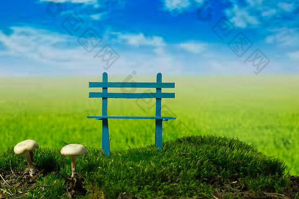 蓝色的板凳上蘑菇绿色草地阳光明媚的多云的一天
