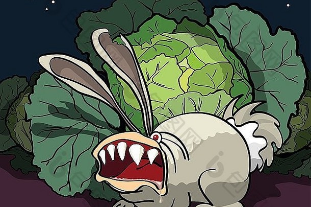 愤怒的兔子守卫着卷心菜