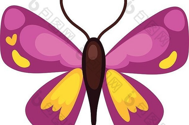 美丽的蝴蝶紫色的昆虫平风格图标