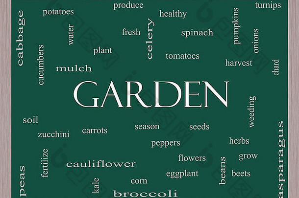 花园词云概念黑板上伟大的条款新鲜的生产植物