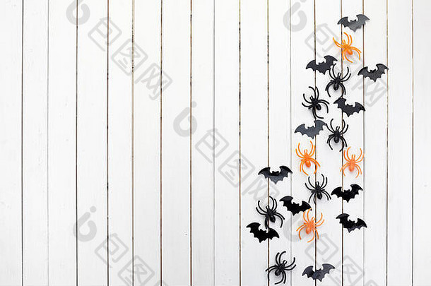 万圣节装饰可怕的概念黑色的纸蝙蝠蜘蛛白色木背景