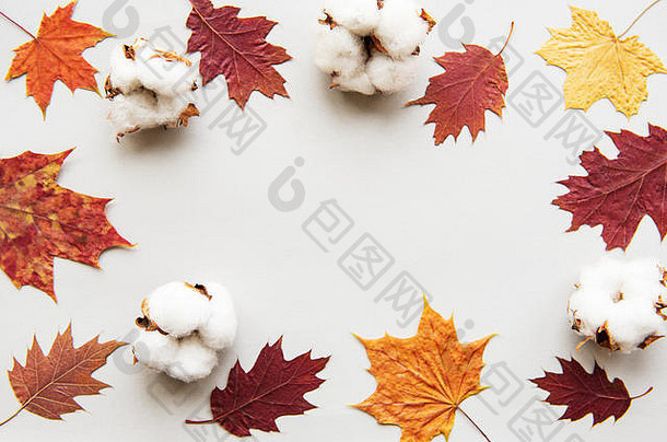 秋季作文。框架由棉花制成，白色背景上的干叶。秋天，秋天的概念。平面布局、俯视图、空间