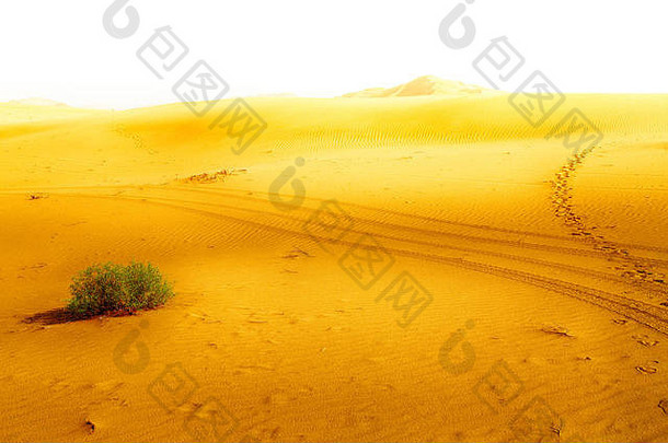 空季度户外沙子沙丘阿曼沙漠摩擦哈利
