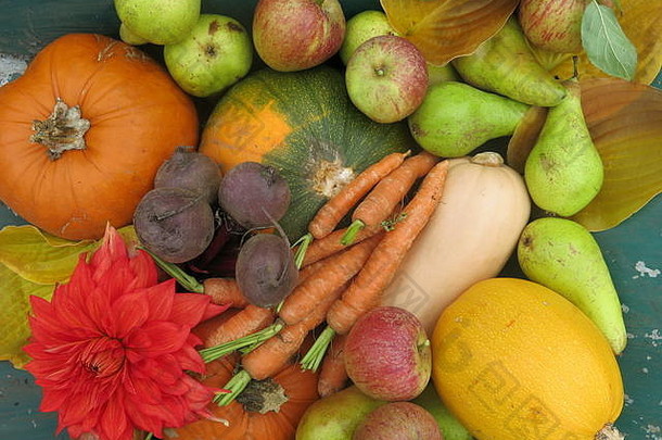 在英国的一片土地上生长着一系列色彩鲜艳的秋季水果和蔬菜：南瓜、胡萝卜、苹果、梨、南瓜和甜菜根。