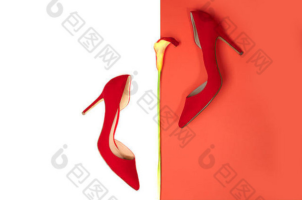 女时尚的配件时尚奢侈品装集红色的鞋子花珊瑚颜色白色背景