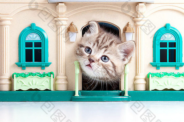 可爱的小猫玩具房子