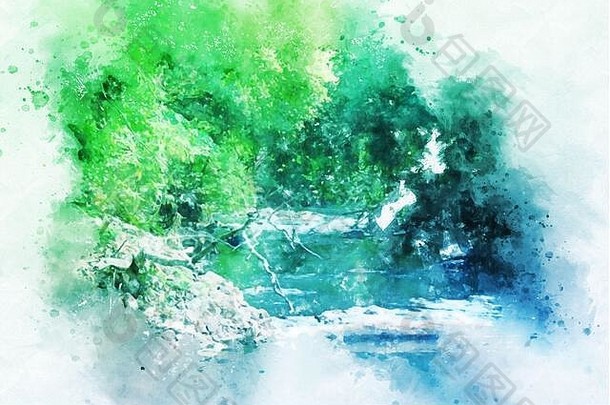 摘要色彩斑斓的绿色形状分支树森林水彩插图绘画背景