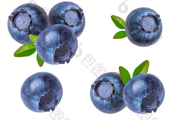 白色背景上分离的新鲜蓝莓