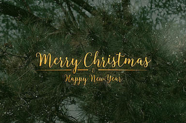 绿色松树上闪烁着<strong>圣诞</strong>快乐和新年快乐字样。节日庆祝贺卡