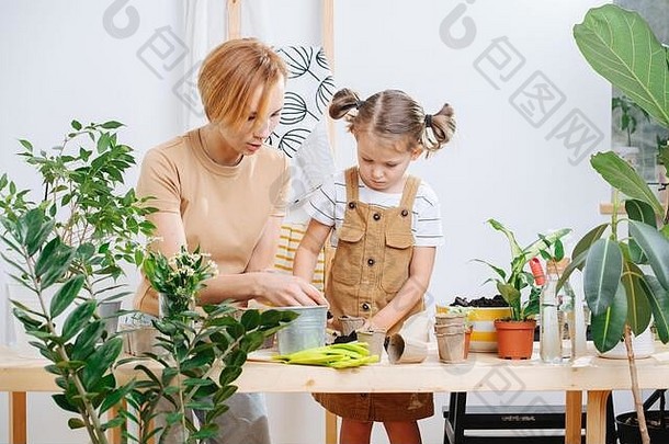 小女孩和妈妈一起用纸板箱装园艺用具