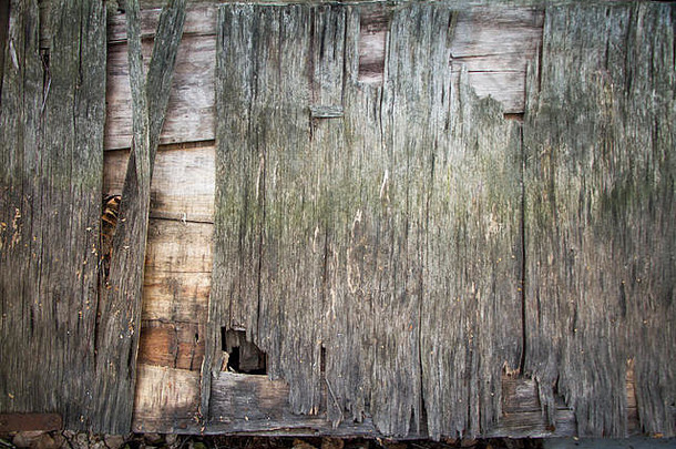 背景是旧的剥皮开裂的木头，堆叠的旧木板。