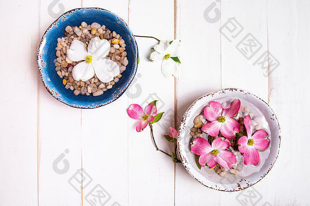 粉红色和白色的山茱萸花在桌面上装满水的碗里漂浮在岩石上。