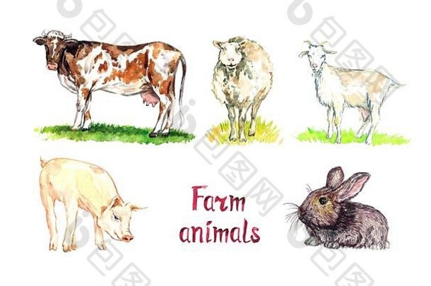农场动物收藏、红牛、白羊、山羊、猪和兔子、手绘水彩插图设计元素，用于邀请、卡片、印刷、，