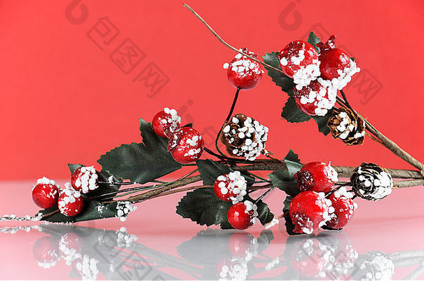 喜庆的红白主题圣诞槲寄生和浆果装饰。
