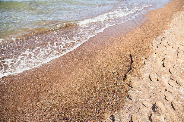 美丽的景观沙丘海岸线波罗的海海
