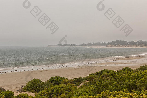 澳大利亚维多利亚州托基海滩。托基是贝尔海滩的故乡